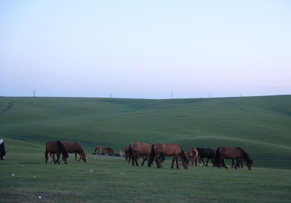 Travel photos of Hulunbuir: Hulunbuir grassland tour