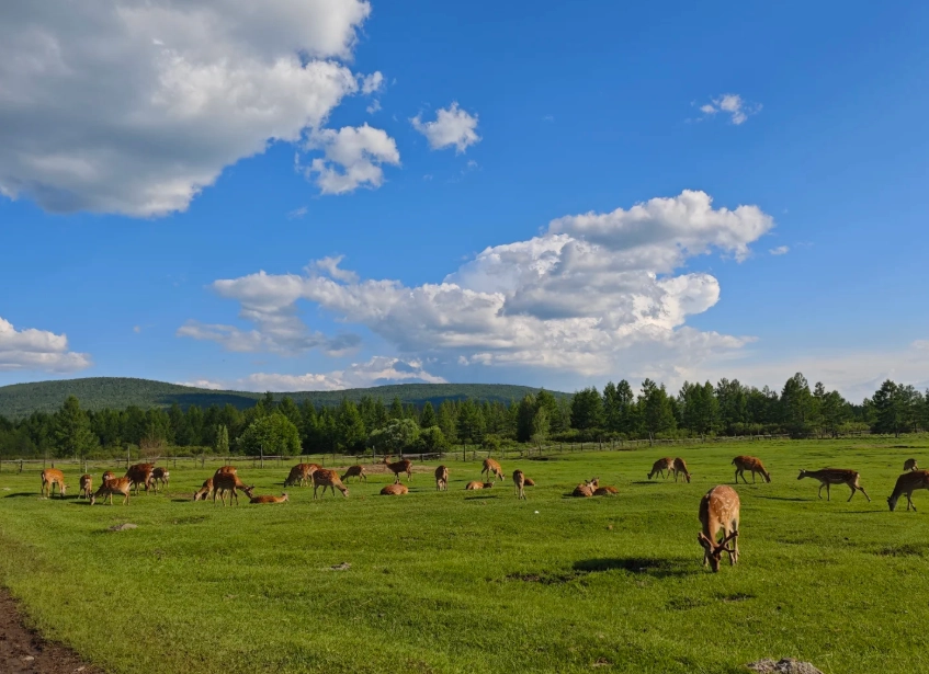 Photo of Hulunbuir Grassland: Hulunbuir travel guide