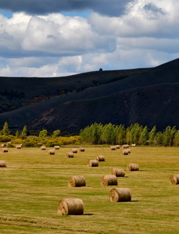 hulunbuir travel guide hulunbuir travel guide