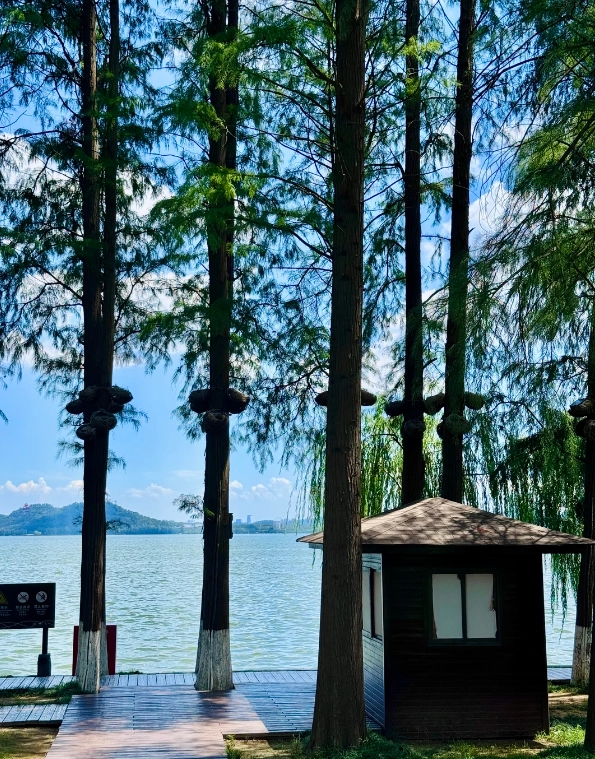 East Lake Wuhan travel tips East Lake Wuhan travel tips
