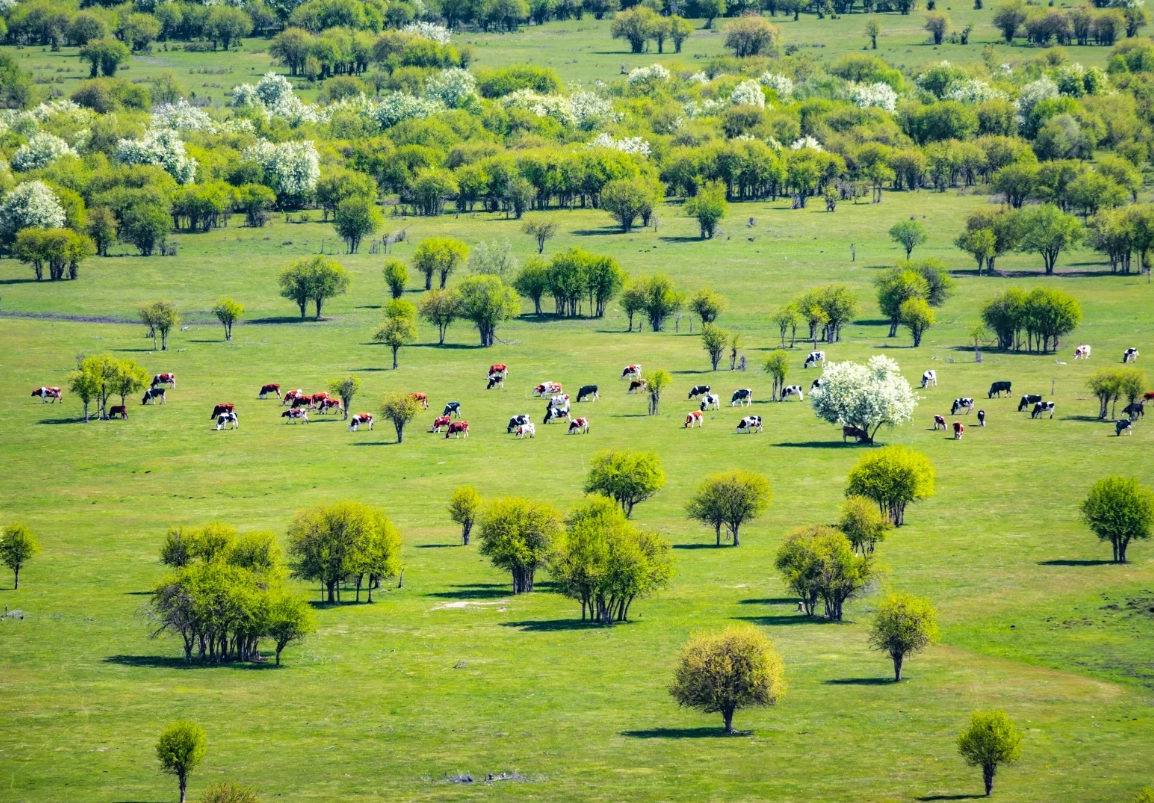 Inner Mongolia travel guide Inner Mongolia travel guide