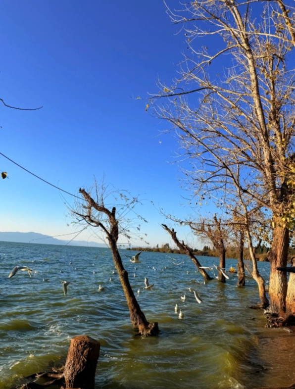 Dianchi Lake best time to visit Dianchi Lake best time to visit