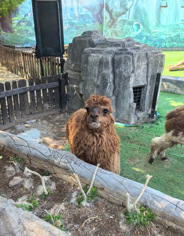 Yunnan Wildlife Park hours Yunnan Wildlife Park hours