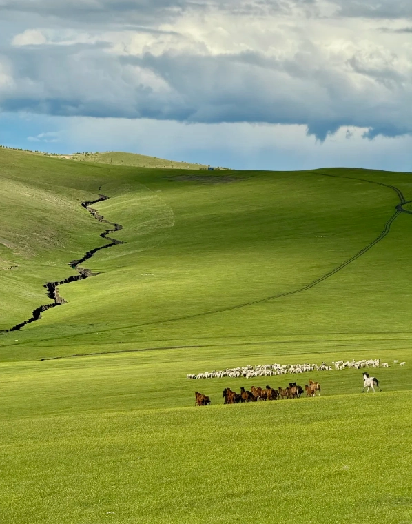 Hulunbuir Grassland best time Hulunbuir Grassland best time