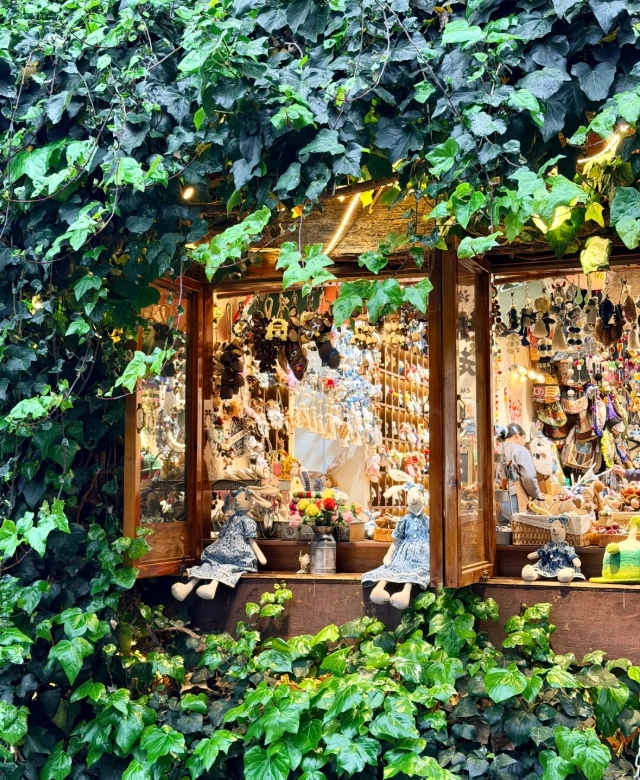 Lijiang Old Town guided tour tips Lijiang Old Town guided tour tips