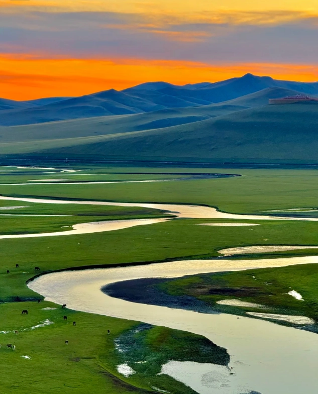 Photo of Hulunbuir Grassland: Hulunbuir food