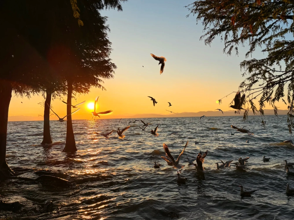 Dianchi Lake tickets Dianchi Lake tickets