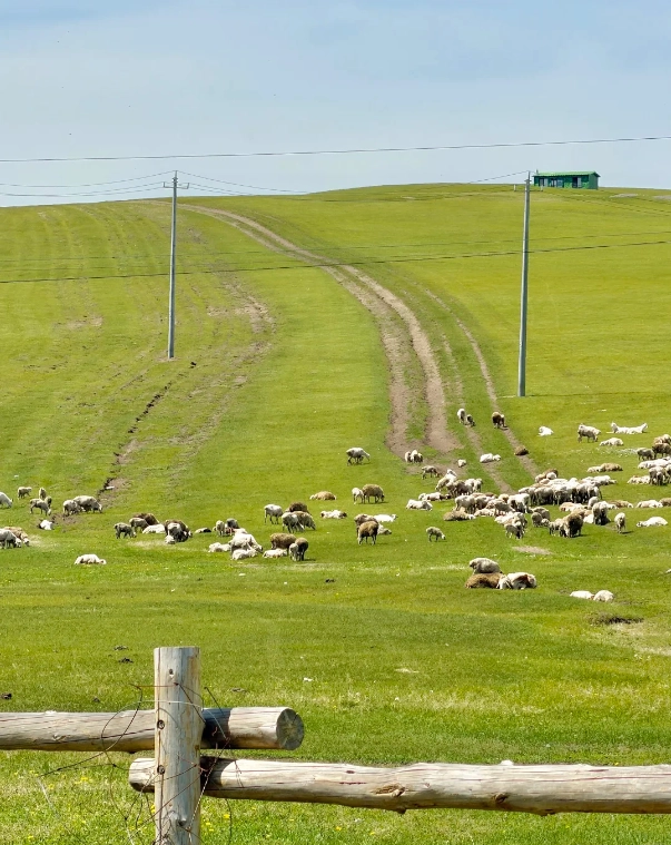 Photo of Hulunbuir Grassland: Hulunbuir things to do