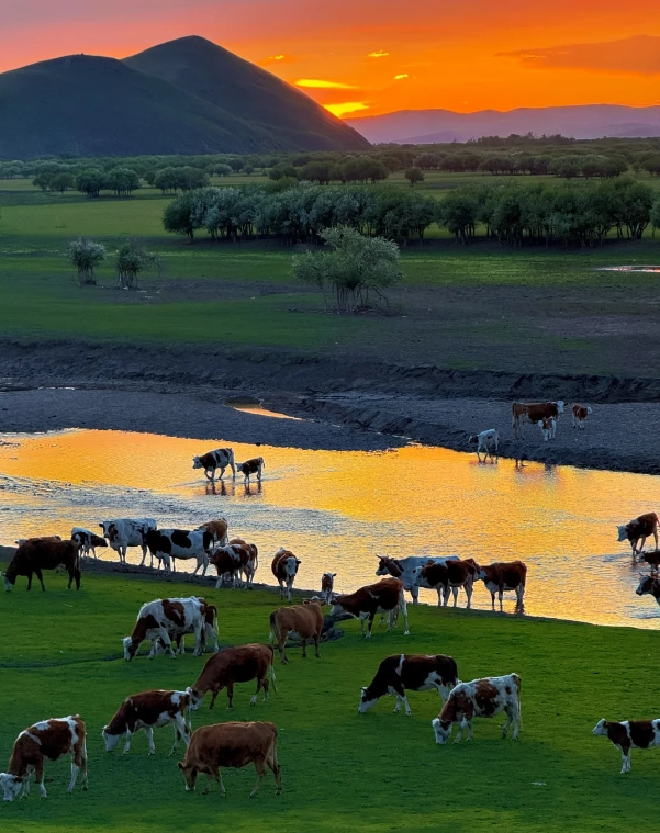 Hulunbuir Grassland photography spots: Shoot like a pro & skip the crowds