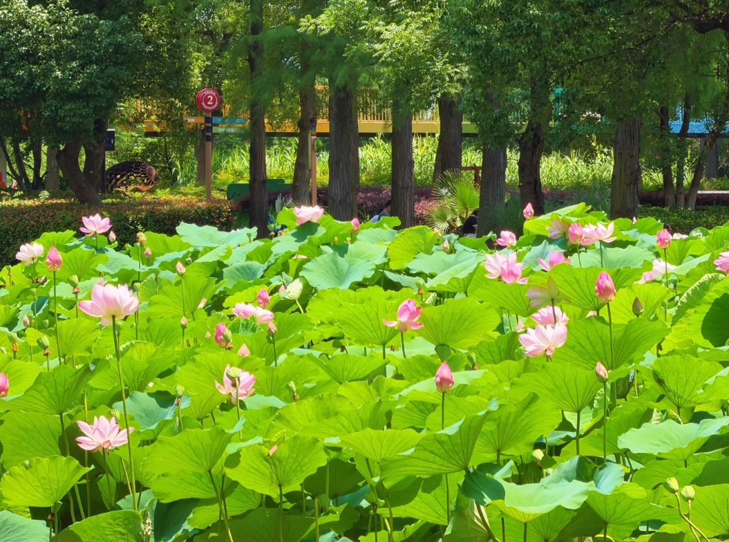 how to visit East Lake how to visit East Lake