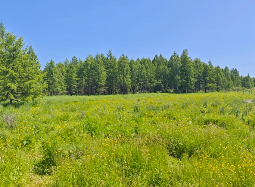 things to do in Hulunbuir things to do in Hulunbuir
