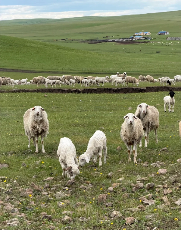 Hulunbuir photography guide Hulunbuir photography guide