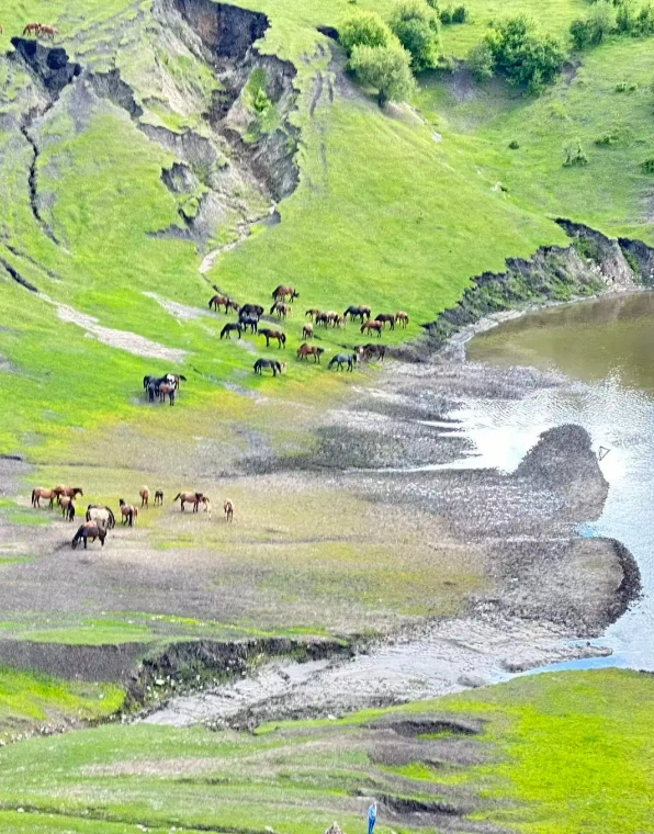 Photo of Hulunbuir Grassland: Hulunbuir travel guide