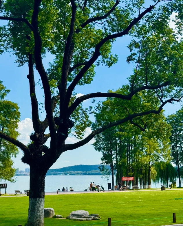 East Lake Wuhan travel tips East Lake Wuhan travel tips