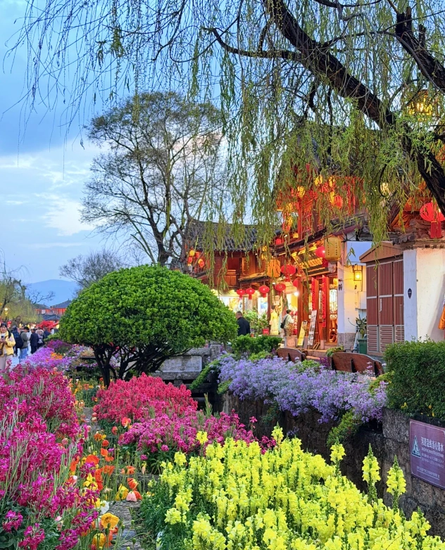 Lijiang Old Town opening hours Lijiang Old Town opening hours