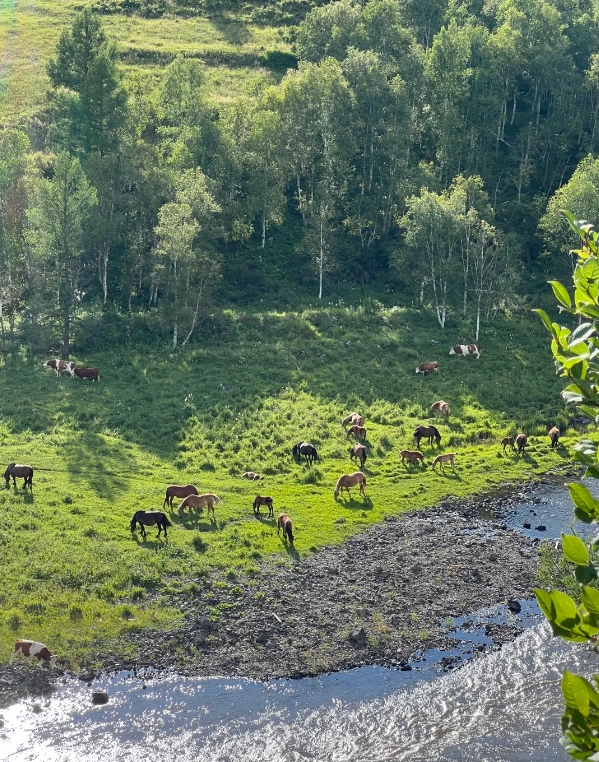 Inner Mongolia guided tours