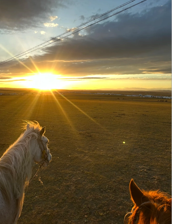 Hulunbuir grassland tour Hulunbuir grassland tour