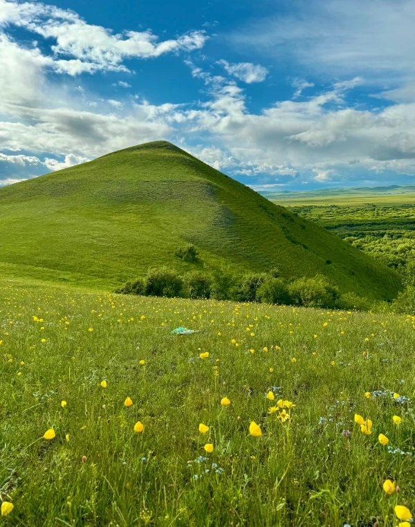 Photo of Hulunbuir Grassland: Inner Mongolia attractions
