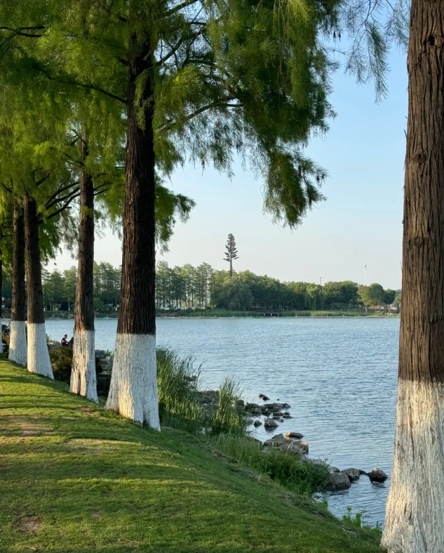 East Lake cycling route East Lake cycling route