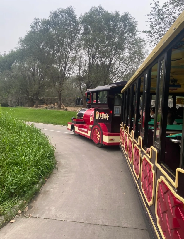 Yunnan Wildlife Park Electric Buggy: Skip the Walk
