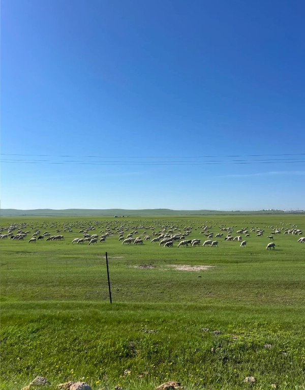 Hulunbuir itinerary