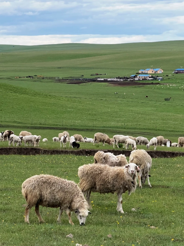 best photo spots Hulunbuir best photo spots Hulunbuir