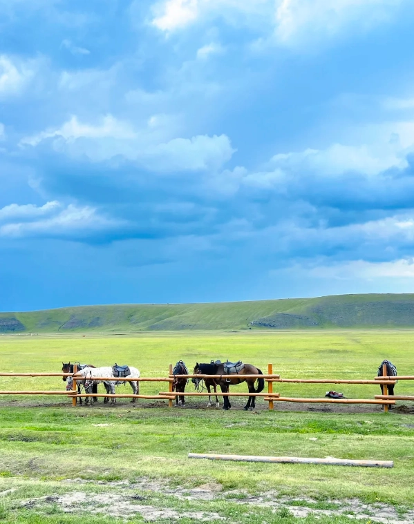 Photo of Hulunbuir Grassland: Hulunbuir things to do