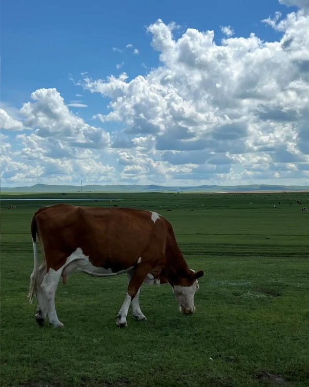 Hulunbuir grassland transport