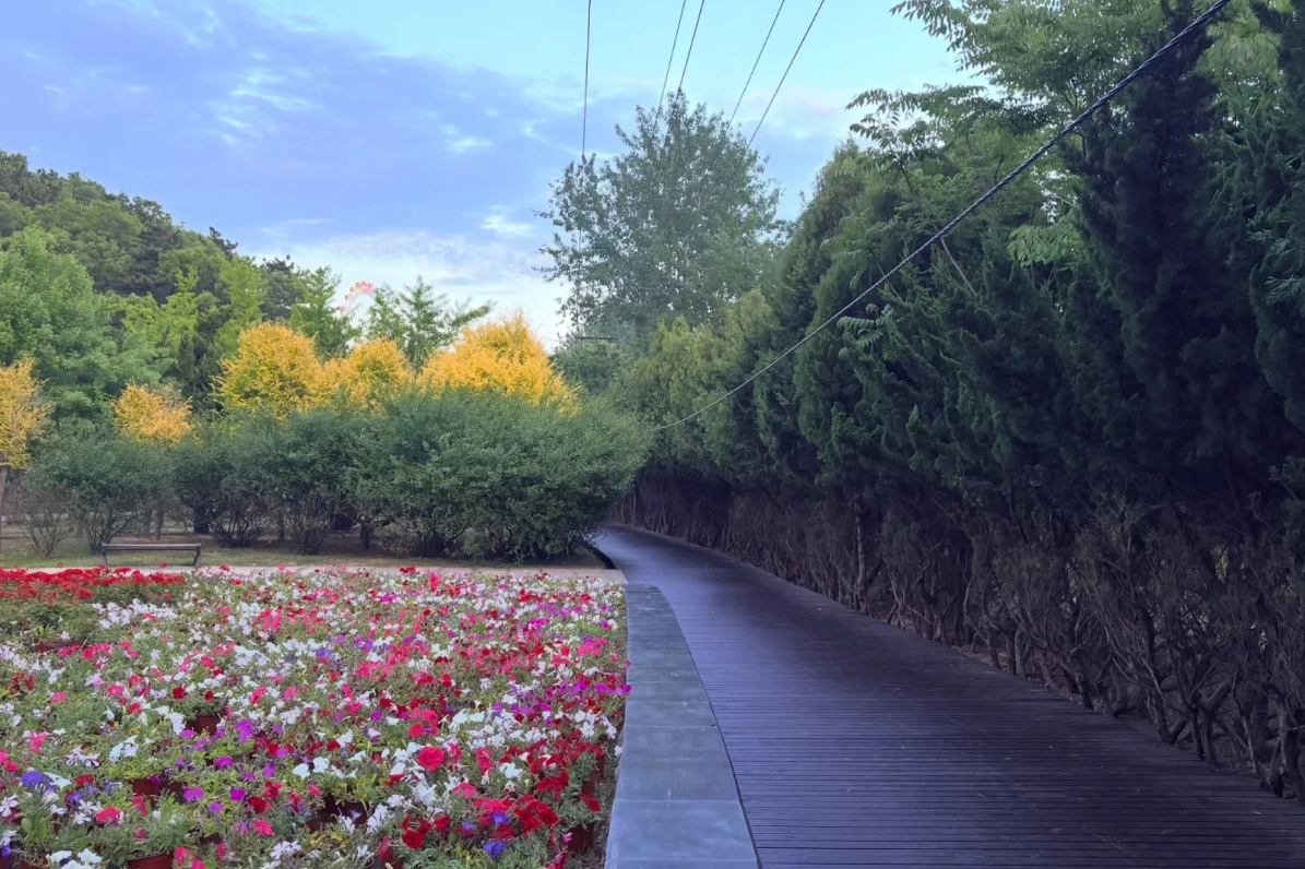 Binhai Road travel tips Binhai Road travel tips