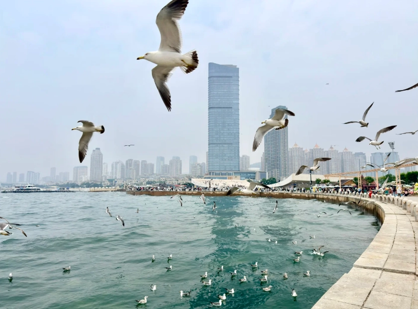 Dalian coastal road