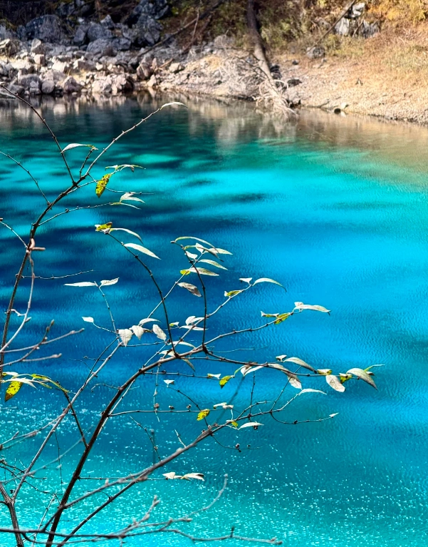 jiuzhaigou ticket price jiuzhaigou ticket price