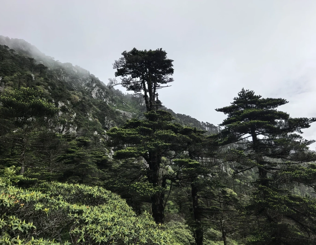 Cangshan Mountain worth it Cangshan Mountain worth it