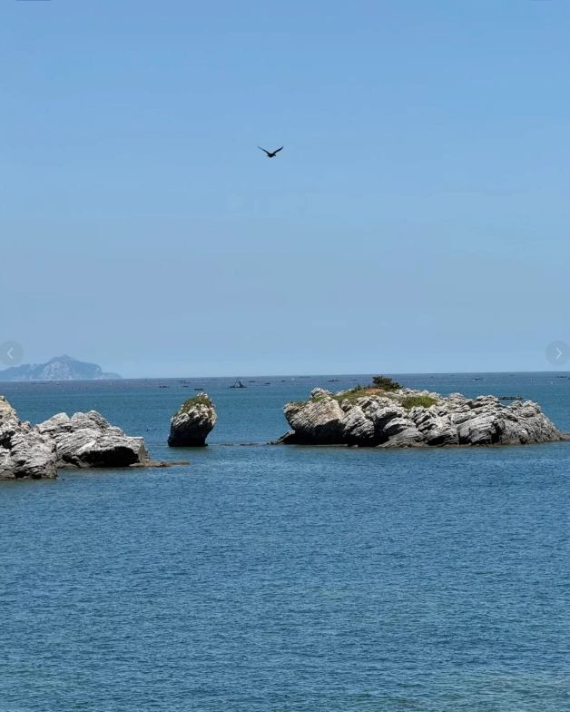 Golden Pebble Beach photography spots Golden Pebble Beach photography spots