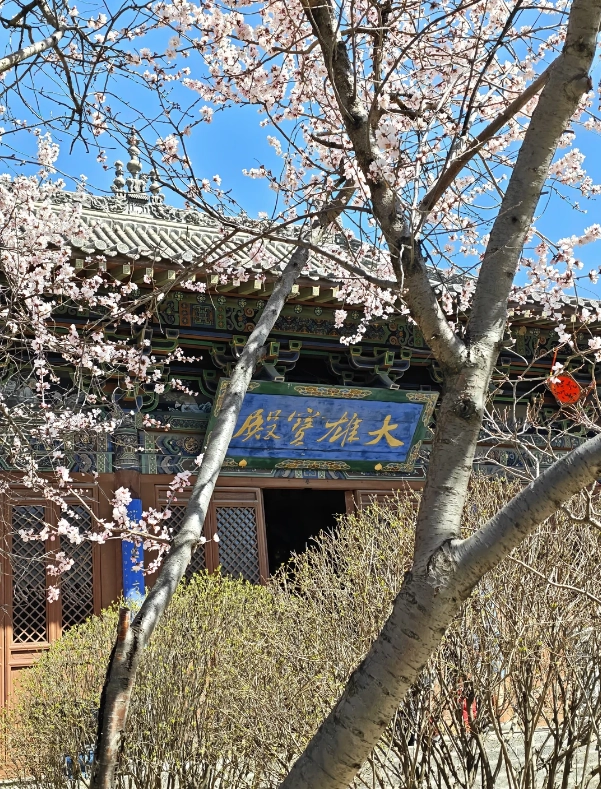 Datong to ancient city bus