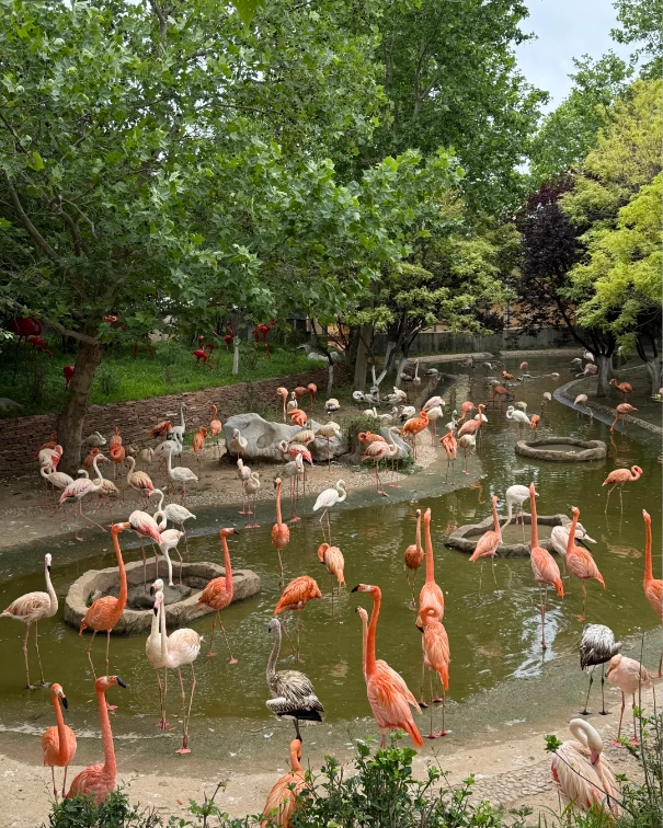 Dalian Forest Zoo best time to visit Dalian Forest Zoo best time to visit