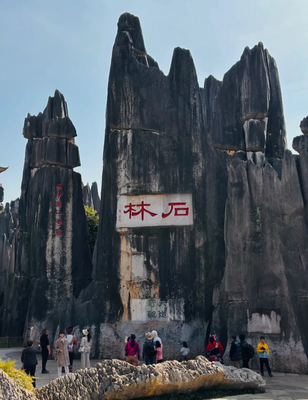 buy Stone Forest tickets online buy Stone Forest tickets online