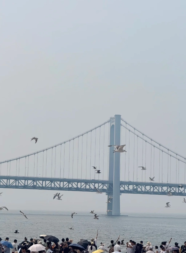 Binhai Road tour
