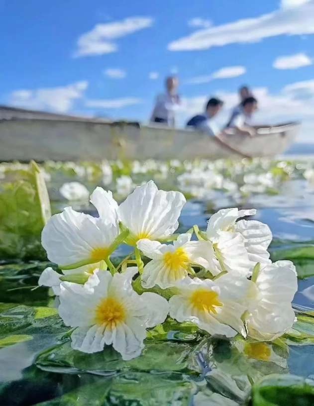 lugu lake ticket price
