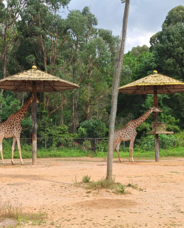 Yunnan Wildlife Park tips Yunnan Wildlife Park tips