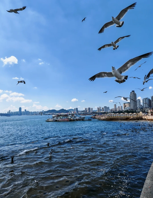 Xinghai Square Guided Tour: Insider Tips to Avoid Crowds