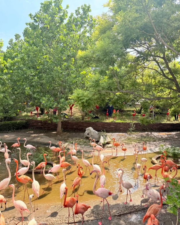 Dalian Forest Zoo map