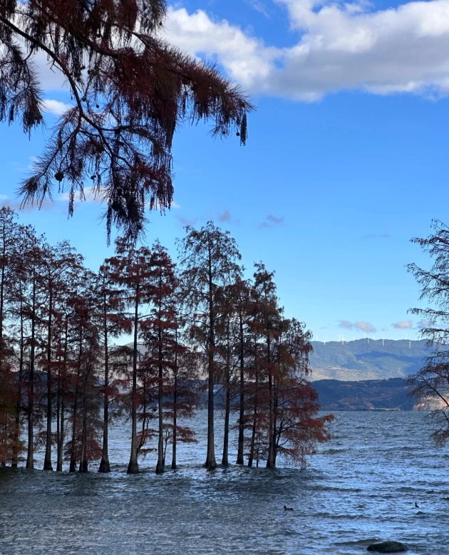 Erhai Lake cruise Erhai Lake cruise