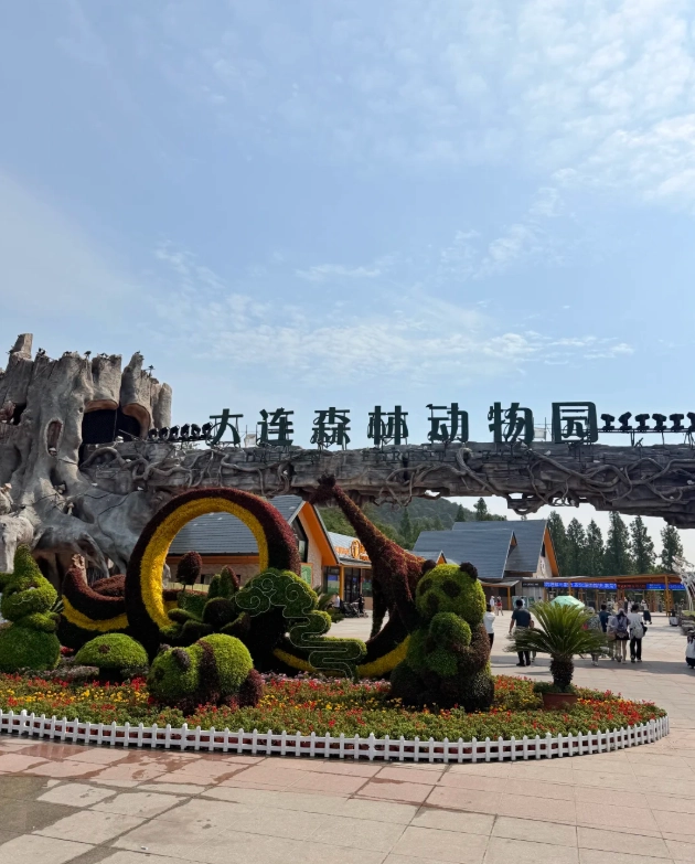 Dalian Forest Zoo Photography Spots: Secret Locations for Stunning Shots