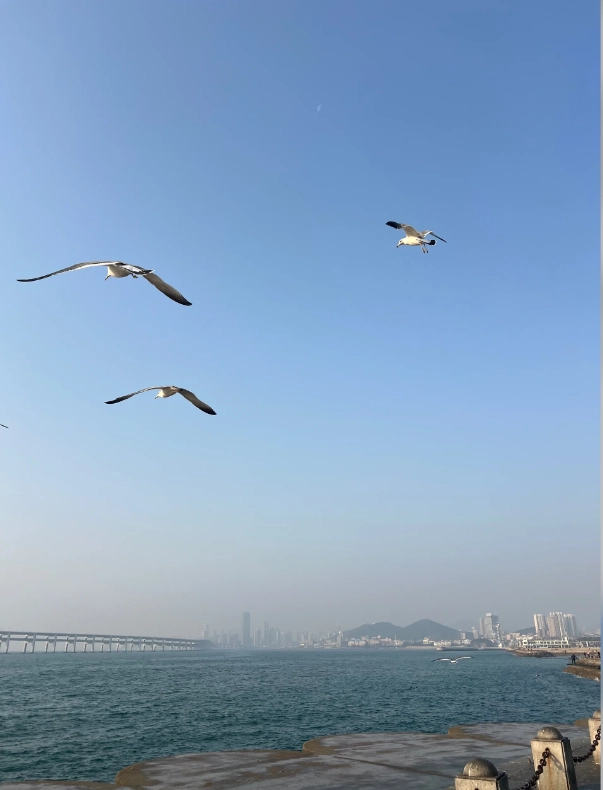 Xinghai Square history Xinghai Square history