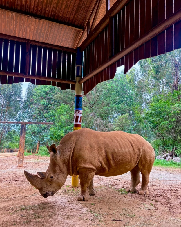 Kunming wildlife park visiting hours Kunming wildlife park visiting hours