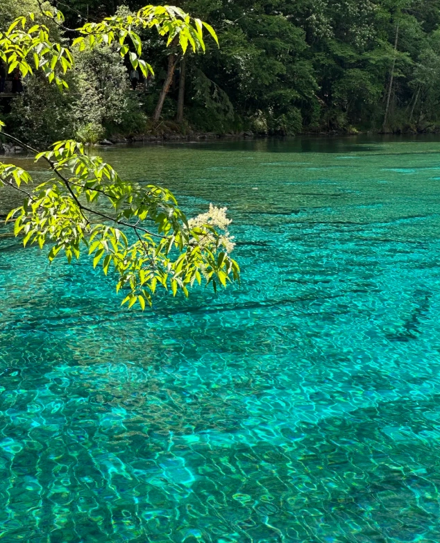 Jiuzhaigou best time to visit Jiuzhaigou best time to visit