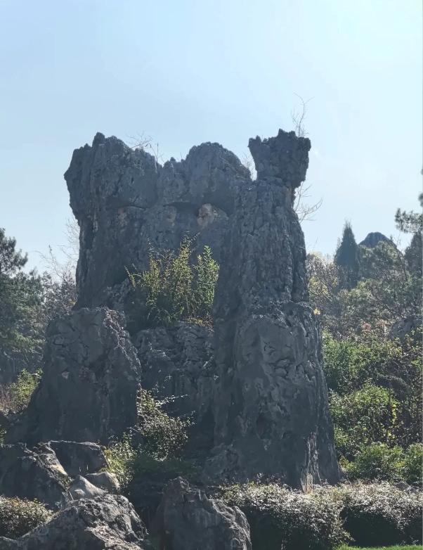 Stone Forest travel guide Stone Forest travel guide