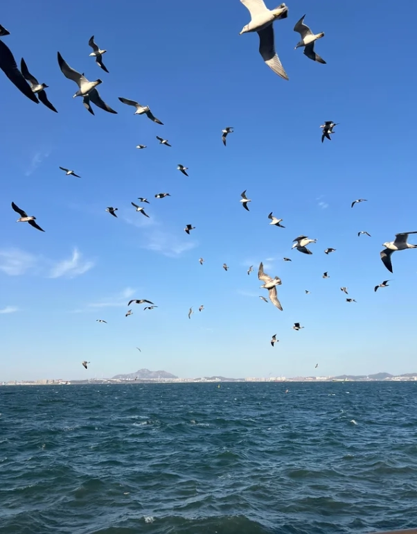 best time to visit Xinghai Square best time to visit Xinghai Square