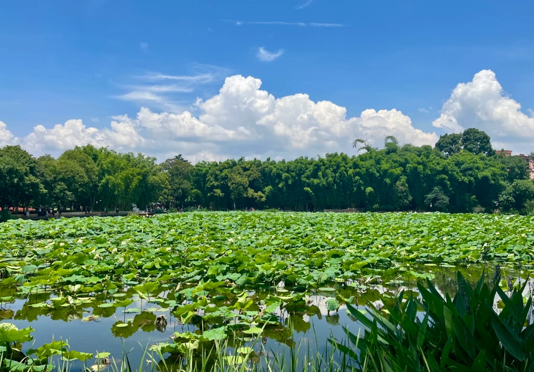 Kunming Cuihu Park