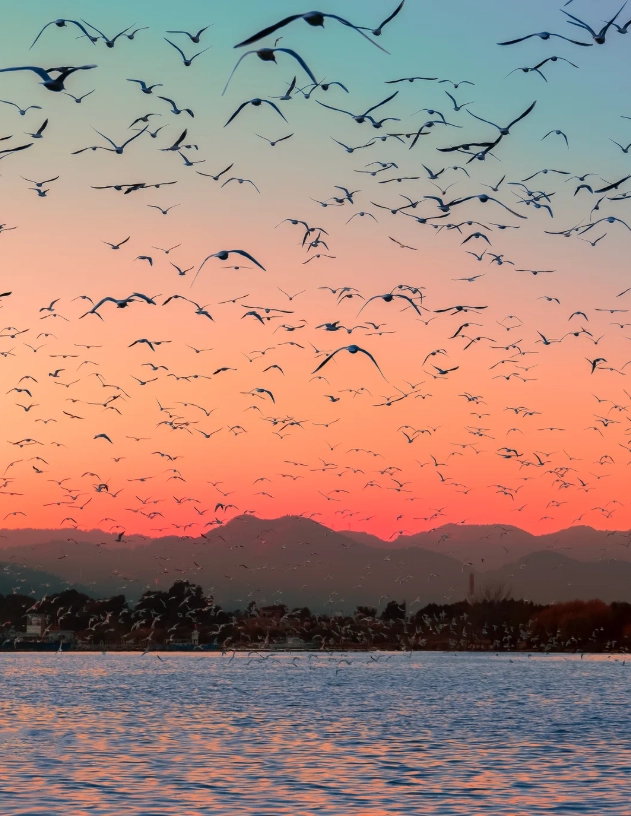 Dianchi Lake Photography Spots: Where to Capture Stunning Shots